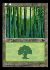 Floresta / Forest - Magic: The Gathering - MoxLand