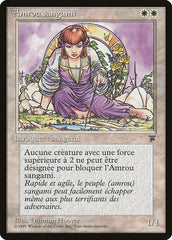 Kithkin Amrou / Amrou Kithkin - Magic: The Gathering - MoxLand