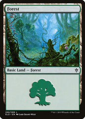 Floresta / Forest - Magic: The Gathering - MoxLand