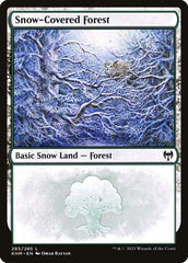Floresta Nevada / Snow-Covered Forest - Magic: The Gathering - MoxLand