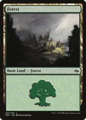 Floresta / Forest - Magic: The Gathering - MoxLand