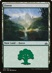 Floresta / Forest - Magic: The Gathering - MoxLand