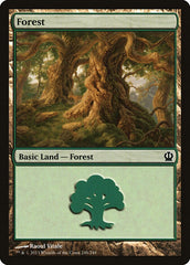 Floresta / Forest - Magic: The Gathering - MoxLand