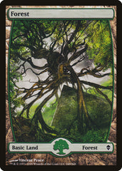 Floresta / Forest