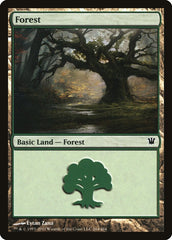 Floresta / Forest - Magic: The Gathering - MoxLand