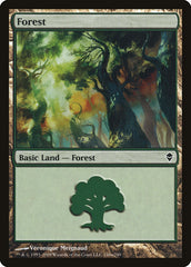 Floresta / Forest