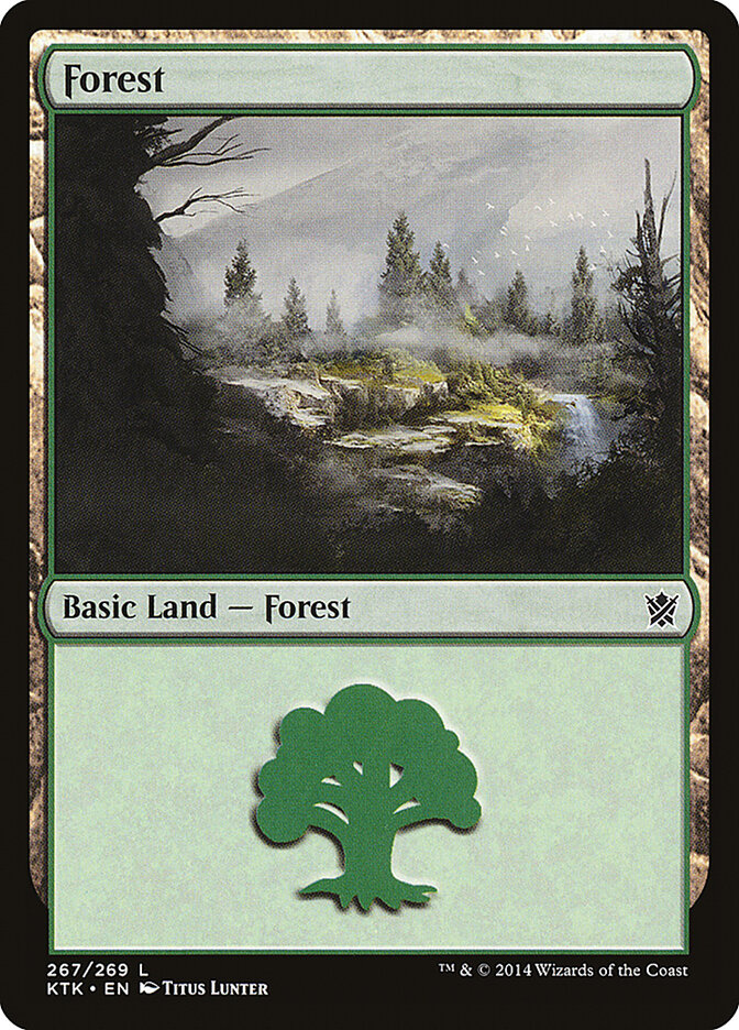 Floresta / Forest - Magic: The Gathering - MoxLand