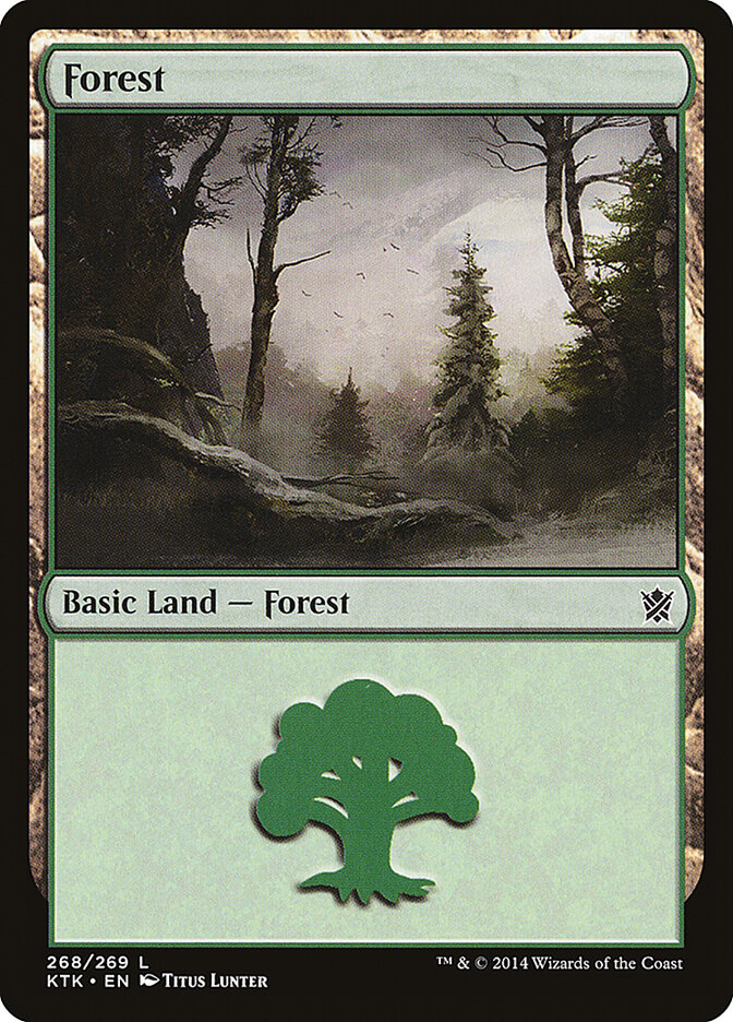 Floresta / Forest - Magic: The Gathering - MoxLand