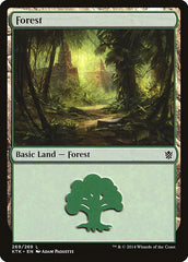 Floresta / Forest - Magic: The Gathering - MoxLand