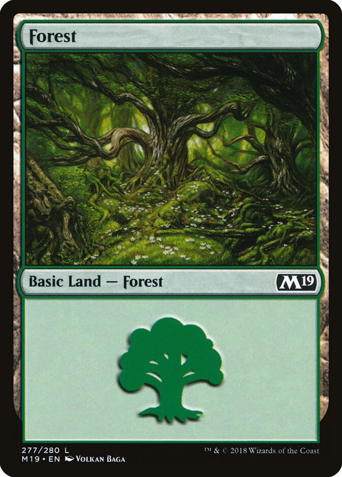 Floresta / Forest