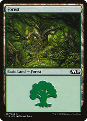 Floresta / Forest