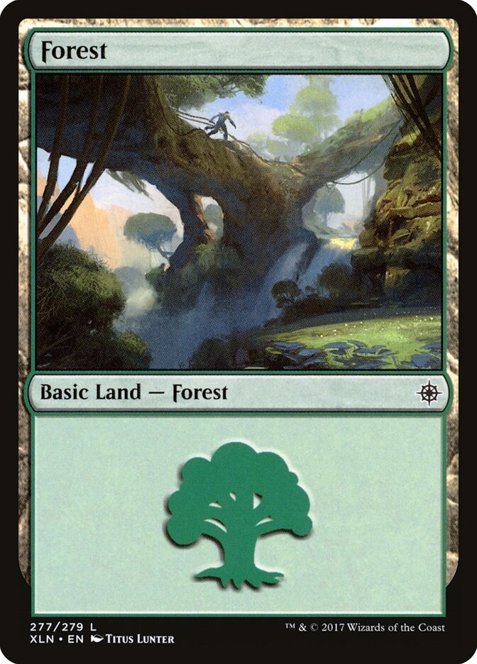 Floresta / Forest - Magic: The Gathering - MoxLand