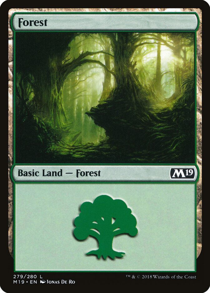 Floresta / Forest