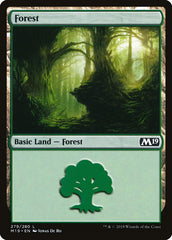 Floresta / Forest
