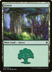 Floresta / Forest - Magic: The Gathering - MoxLand