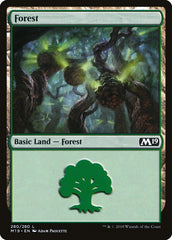 Floresta / Forest