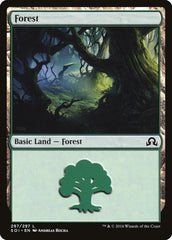 Floresta / Forest - Magic: The Gathering - MoxLand