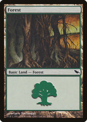 Floresta / Forest - Magic: The Gathering - MoxLand