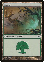 Floresta / Forest - Magic: The Gathering - MoxLand