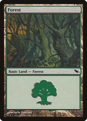 Floresta / Forest - Magic: The Gathering - MoxLand