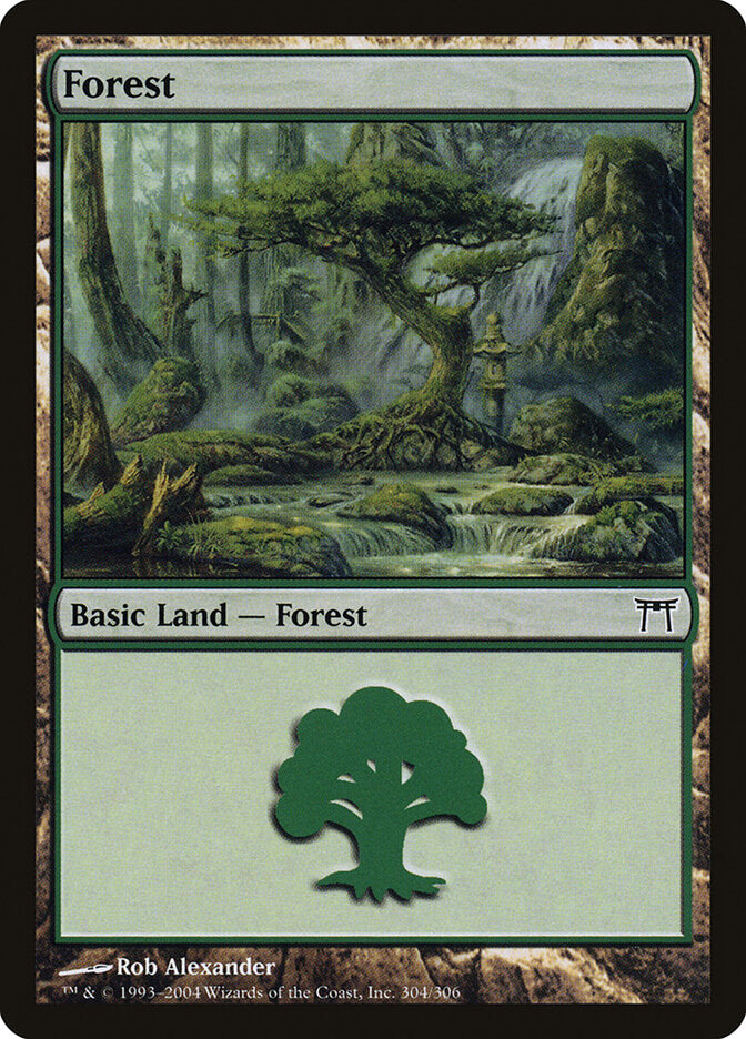 Floresta / Forest