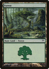 Floresta / Forest