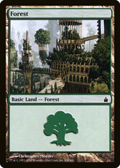 Floresta / Forest - Magic: The Gathering - MoxLand