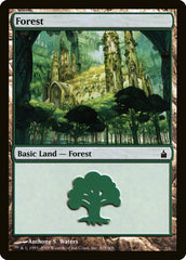 Floresta / Forest - Magic: The Gathering - MoxLand