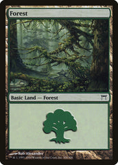 Floresta / Forest