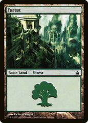 Floresta / Forest - Magic: The Gathering - MoxLand