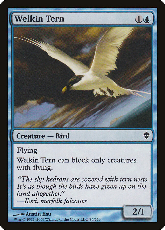 Gaivina Celeste / Welkin Tern
