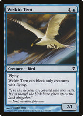 Gaivina Celeste / Welkin Tern