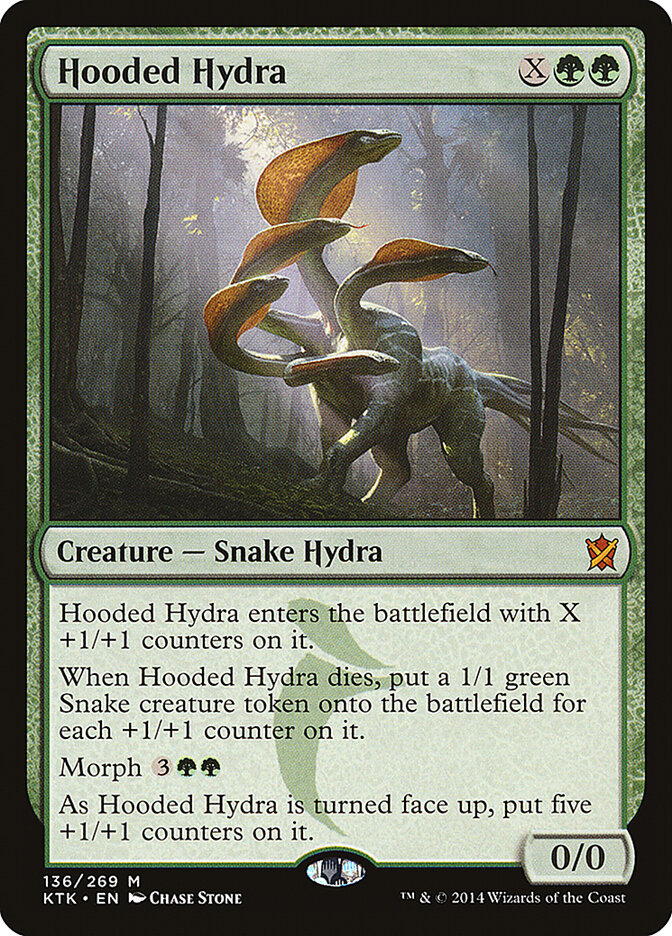 Hidra Encapuzada / Hooded Hydra
