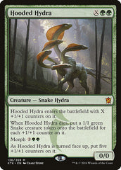 Hidra Encapuzada / Hooded Hydra