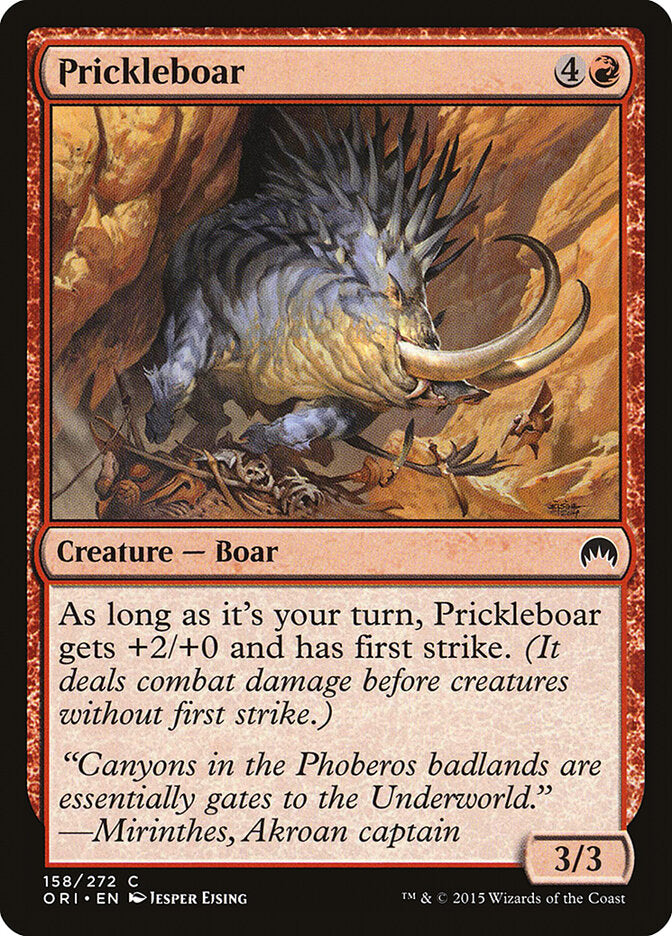 Javali Espinhento / Prickleboar