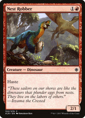 Ladrão de Ninhos / Nest Robber
