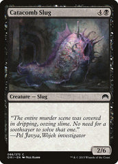 Lesma de Catacumba / Catacomb Slug