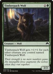 Lobo da Alcateia do Arvoredo / Tim