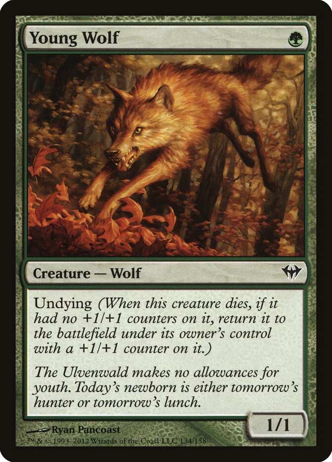 Lobo Jovem / Young Wolf - Magic: The Gathering - MoxLand
