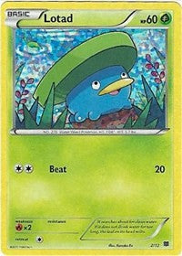 Lotad - Pokémon TCG - MoxLand