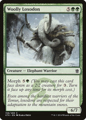 Loxodonte Lanoso / Woolly Loxodon