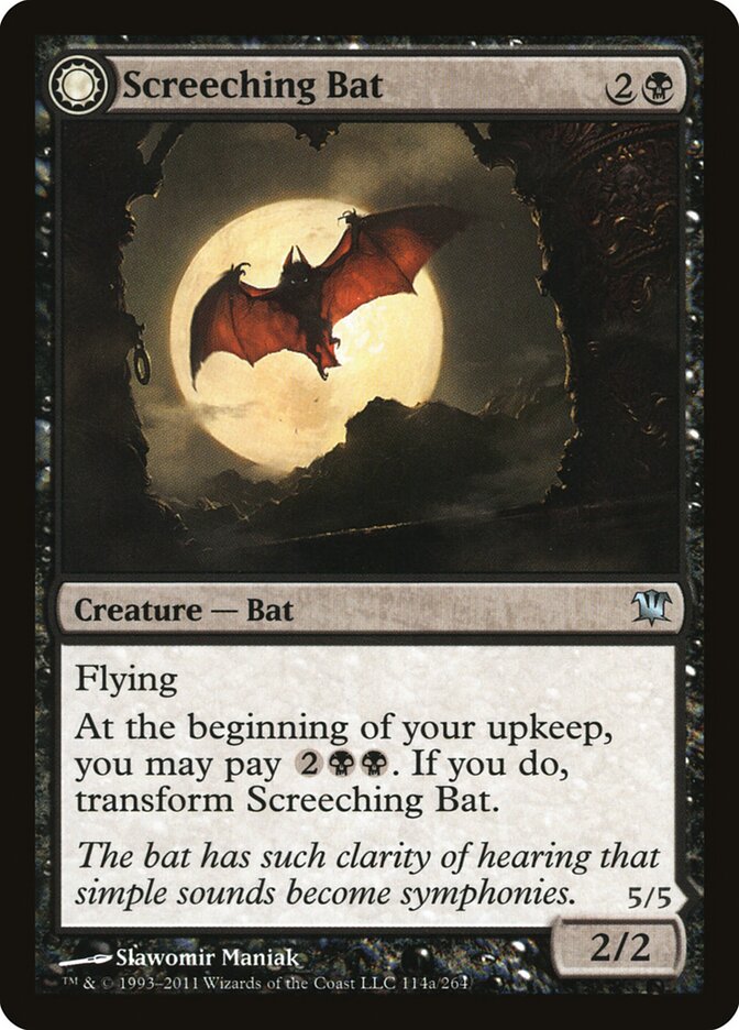 Morcego Guinchante / Screeching Ba