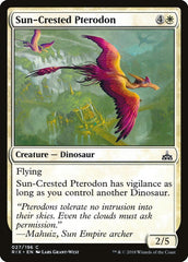 Pterodonte Crista-solar / Sun-Cres