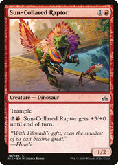 Raptor Gola-de-sol / Sun-Collared Raptor - Magic: The Gathering - MoxLand