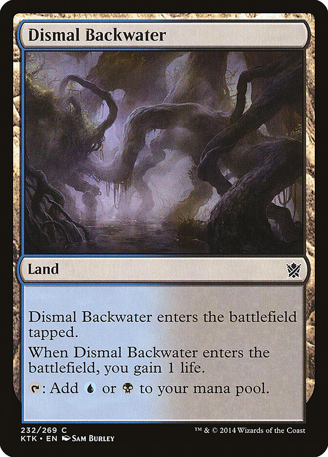 Remanso Funesto / Dismal Backwater