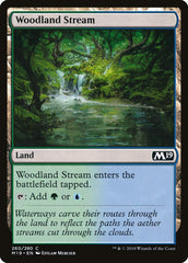 Riacho da Floresta / Woodland Stre