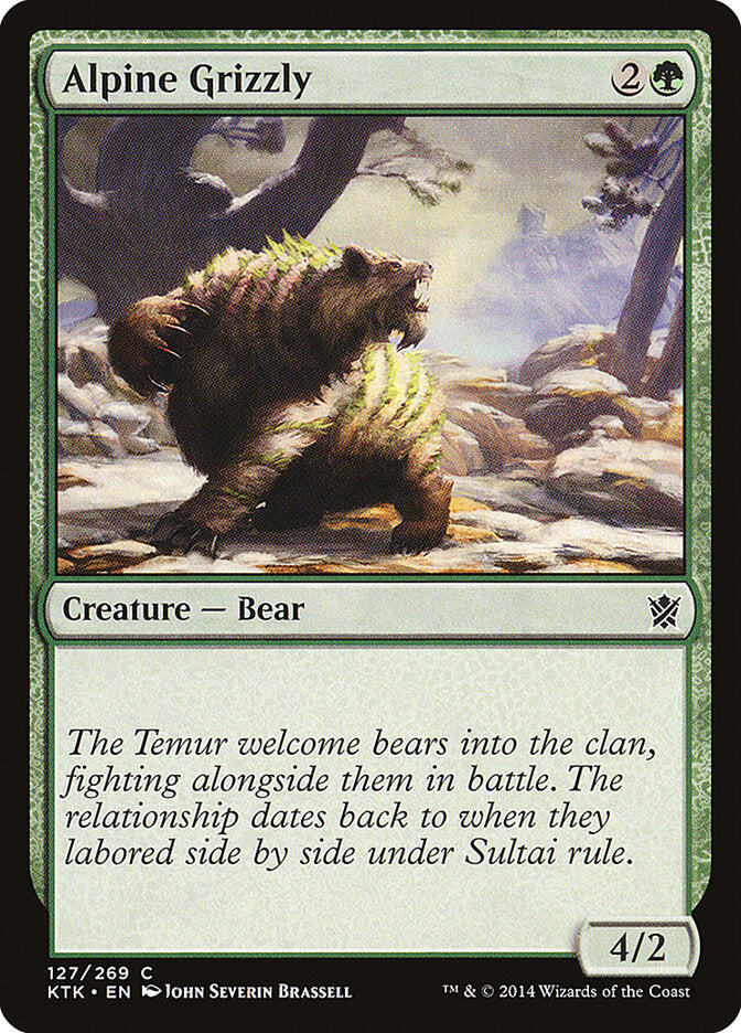 Urso Pardo Alpino / Alpine Grizzly