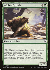 Urso Pardo Alpino / Alpine Grizzly