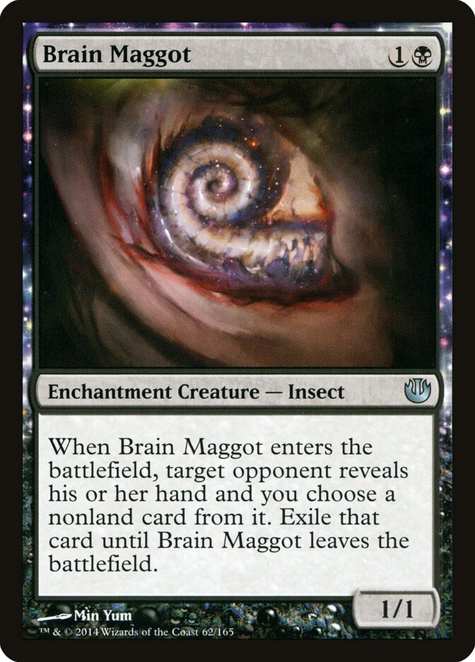 Verme Cerebral / Brain Maggot