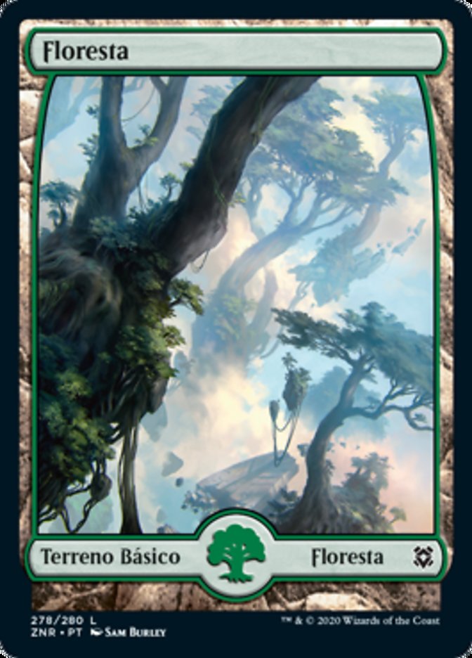 Floresta / Forest - Magic: The Gathering - MoxLand